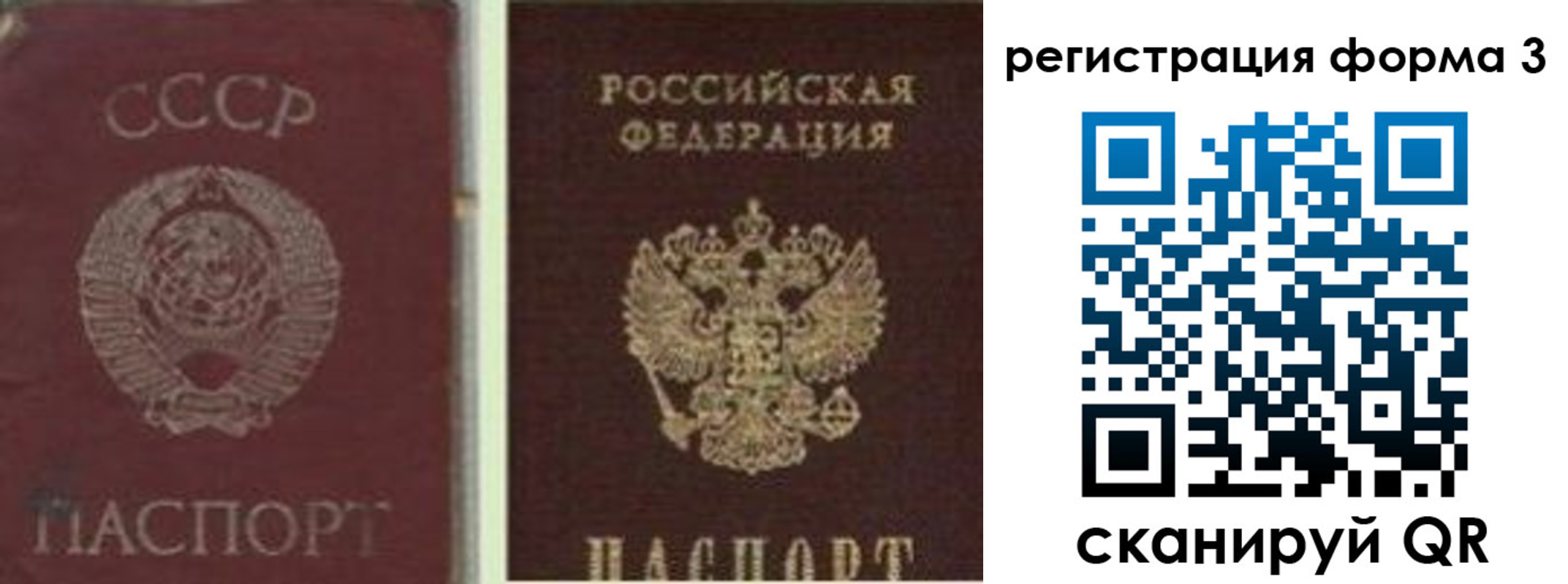 прописка для школы в Каменке